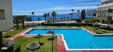 Garden, Pool view, Sea view