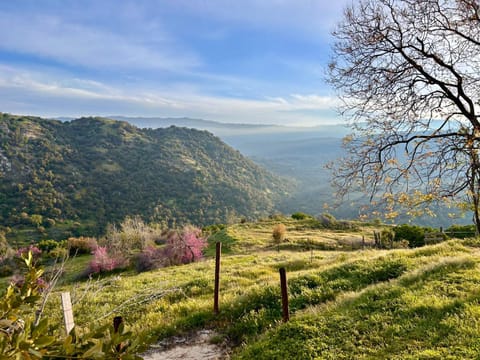 Natural landscape, View (from property/room)