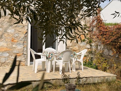 Patio, Garden, Garden view