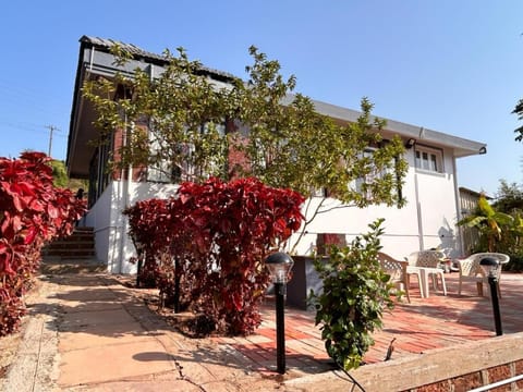 Property building, Day, Garden, Garden view