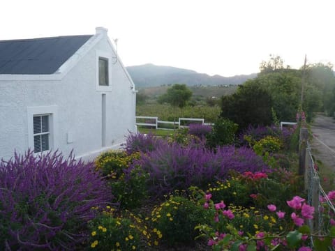 Moira's Cottage House in Western Cape