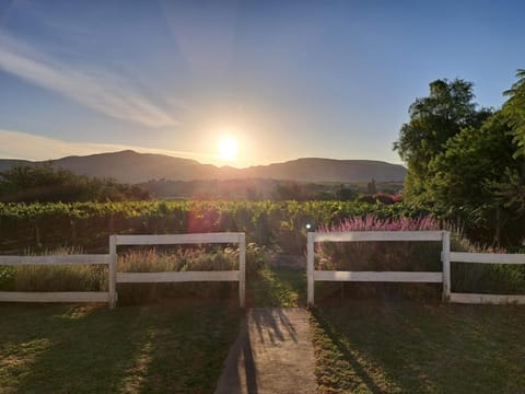Moira's Cottage House in Western Cape