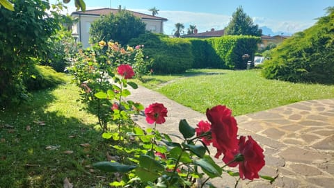 Casa Viale Delle Rose Apartment in Lazise