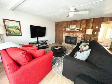 TV and multimedia, Living room, Seating area, Evening entertainment, fireplace