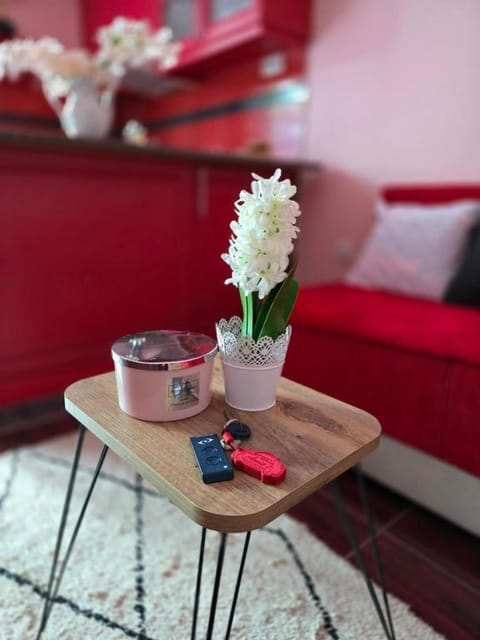 Adel's Apartment in Vojvodina