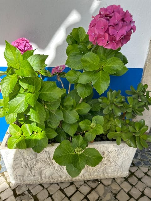 Casa do Poço Bed and Breakfast in Óbidos