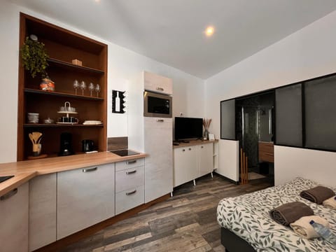 Bed, TV and multimedia, Kitchen or kitchenette, Living room, Seating area, Bedroom, oven, stove