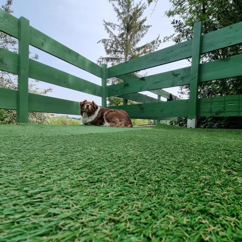 La Blache House in Provence-Alpes-Côte d'Azur