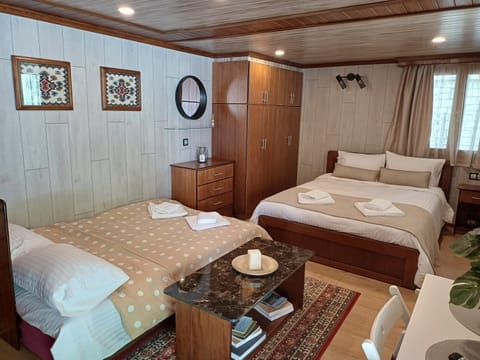 Ververitsa's House Apartment in North Macedonia