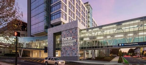 Cozy King bed & Sofa & Room TV Wifi Apartment in Decatur