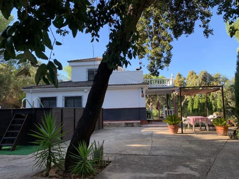 Property building, Garden view