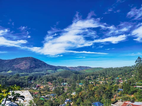 Landmark view