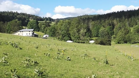 La Petite Echelle Luxury tent in Canton of Vaud