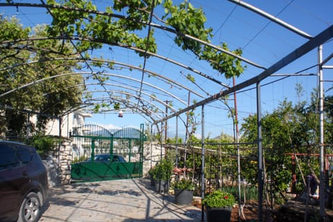 Property building, Spring, Day, Garden, Garden view