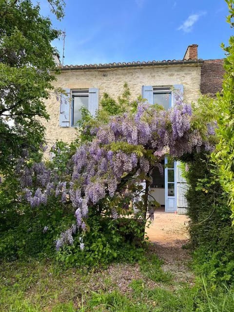 Property building, Garden view