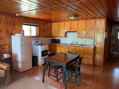 Kitchen or kitchenette, kitchen