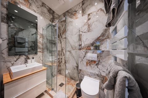 Shower, Toilet, Bathroom, towels