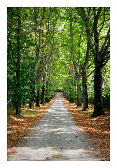 Castello Il Borgia in Passignano sul Trasimeno - Italy Villa in Umbria