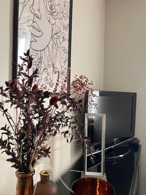 Appartement cosy tout équipé et parking couvert privé aux portes de Flers Apartment in Normandy