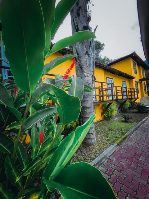 Property building, Day, Garden, Garden view, Parking