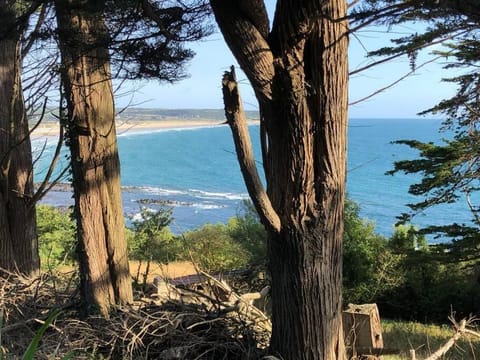 Nearby landmark, Natural landscape, Beach