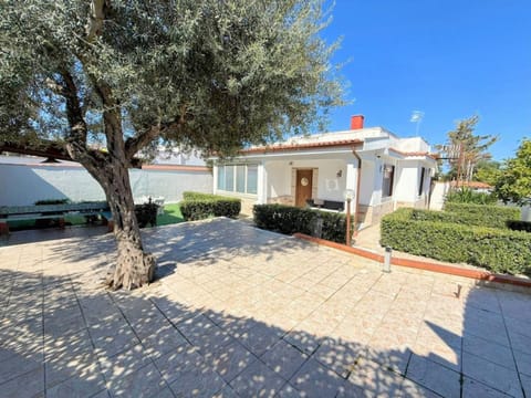 Property building, Spring, Day, Garden, Garden view