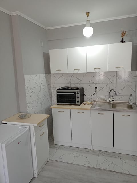 Danojlić Apartment in Zlatibor District, Serbia