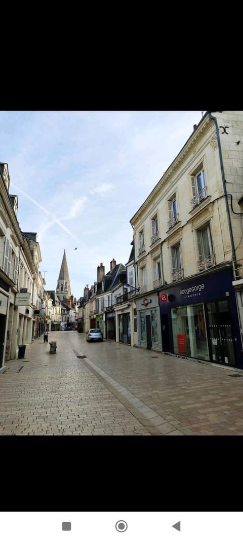 Chez Paulette Apartment in Vendôme