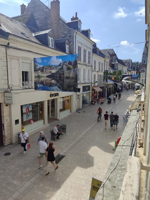 Chez Paulette Apartment in Vendôme