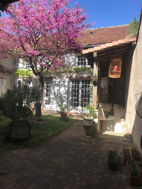 View (from property/room)