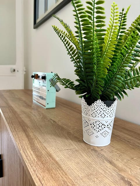 Le Celtic Apartment in Dinard