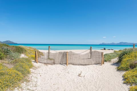 Other, Beach