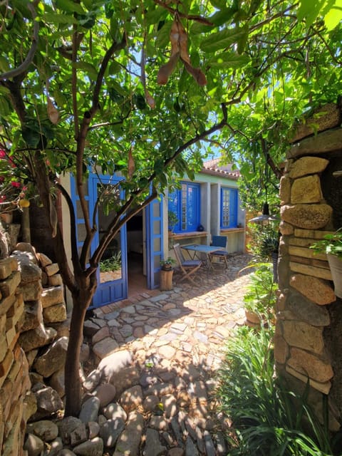 Property building, Spring, Day, Garden, Garden view