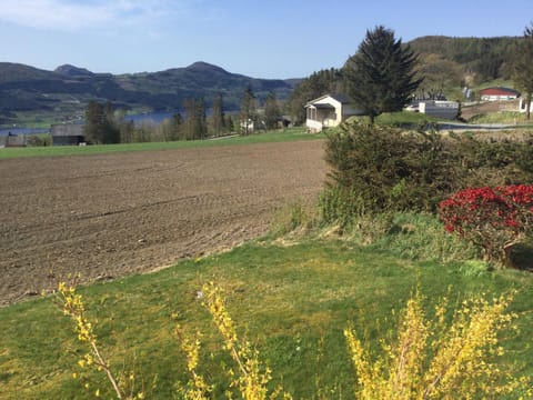 Property view