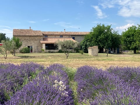 Mas du 18e siècle au calme entouré de champs de lavandes House in Forcalquier