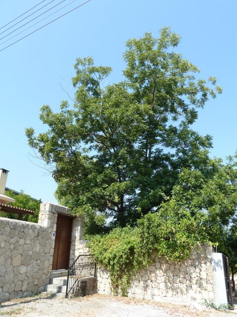 Facade/entrance, Other