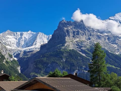 Chalet Engi Apt. 3 for up to 8 People Apartment in Grindelwald