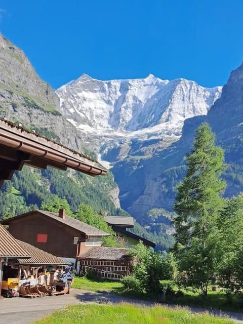 Chalet Engi Apt. 3 for up to 8 People Apartment in Grindelwald