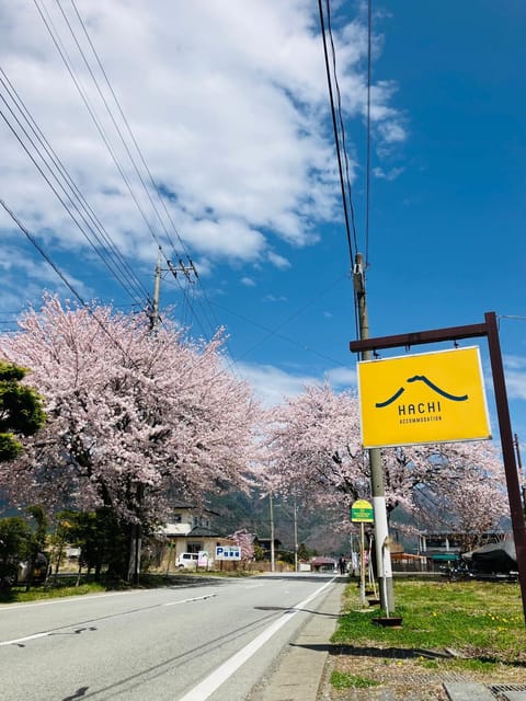 Spring, Property logo or sign, Neighbourhood, Street view