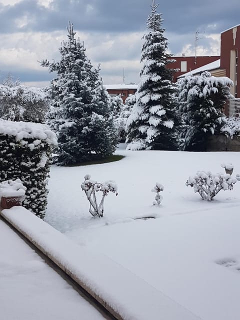 Winter, Garden, Coffee/tea facilities