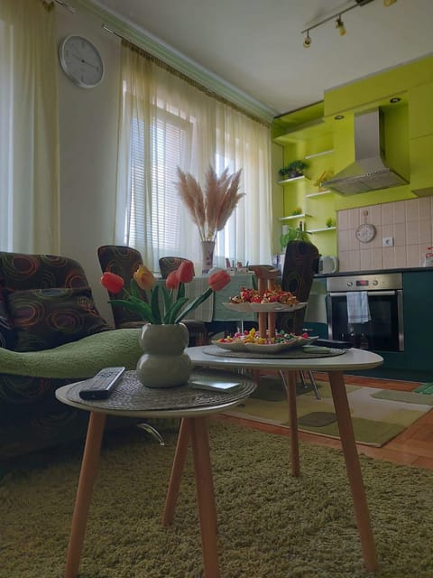 stancicmilena Apartment in Serbia