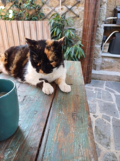 Casaluna, chambre climatisée dans maison de village Vacation rental in Porto-Vecchio