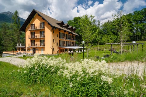 Property building, Garden, Garden view
