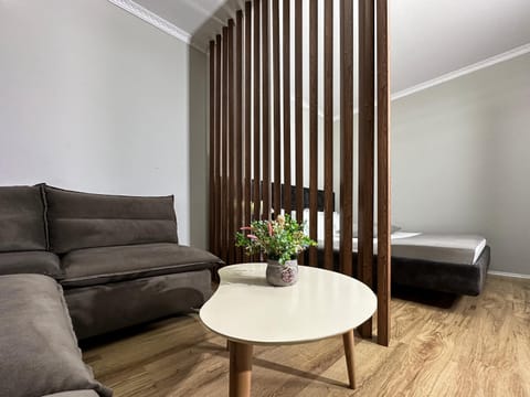Living room, Photo of the whole room, Seating area