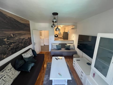 TV and multimedia, Kitchen or kitchenette, Living room, Photo of the whole room, Seating area