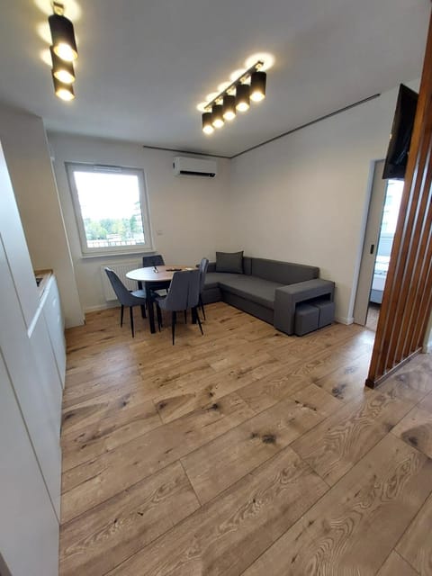 Kitchen or kitchenette, Living room, Seating area, Dining area, air conditioner