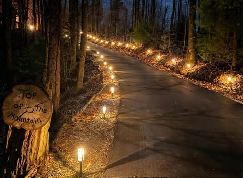 Top of the Mountain Breathtaking Views Hot Tub House in Blue Ridge