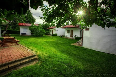 Spring, Garden