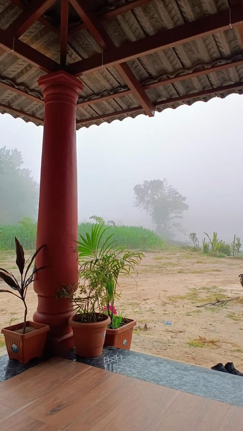Natural landscape