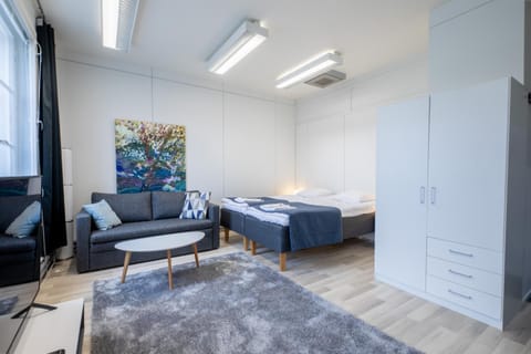 Tyylikäs City studio, Terassi ja ilmainen parkki Vanha Postitalo Apartment in Finland